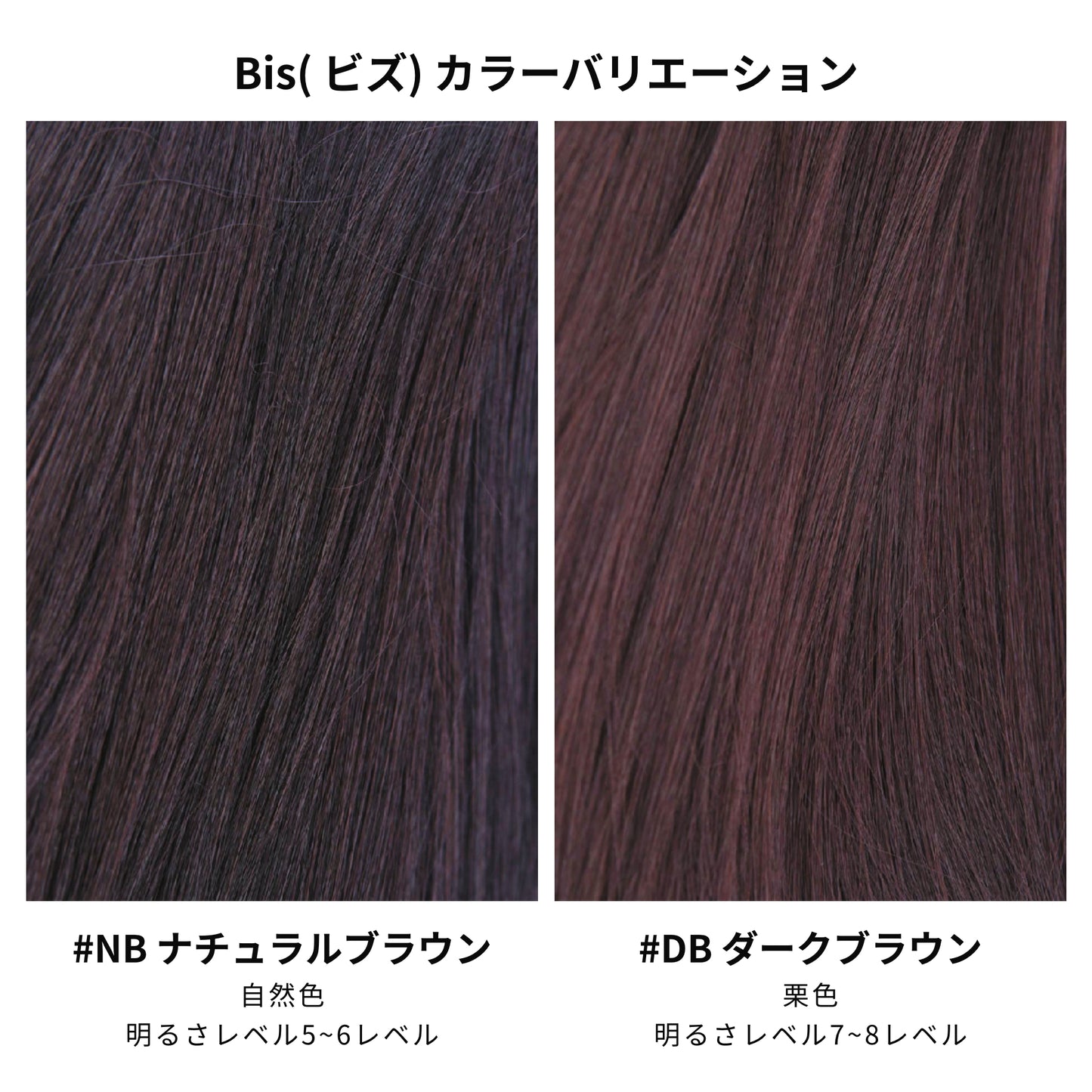 Bis(ビス):ミディアムSカール